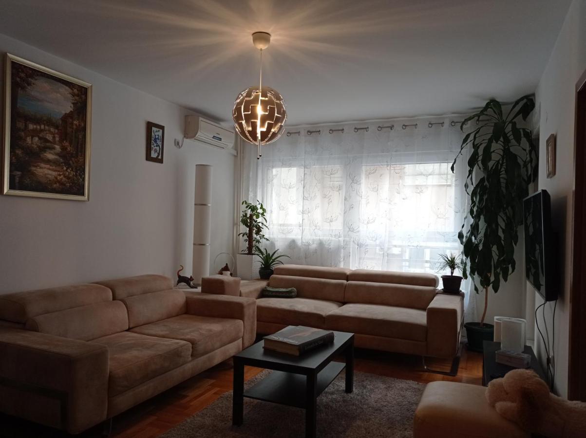 Go 2 Apartment 贝尔格莱德 外观 照片