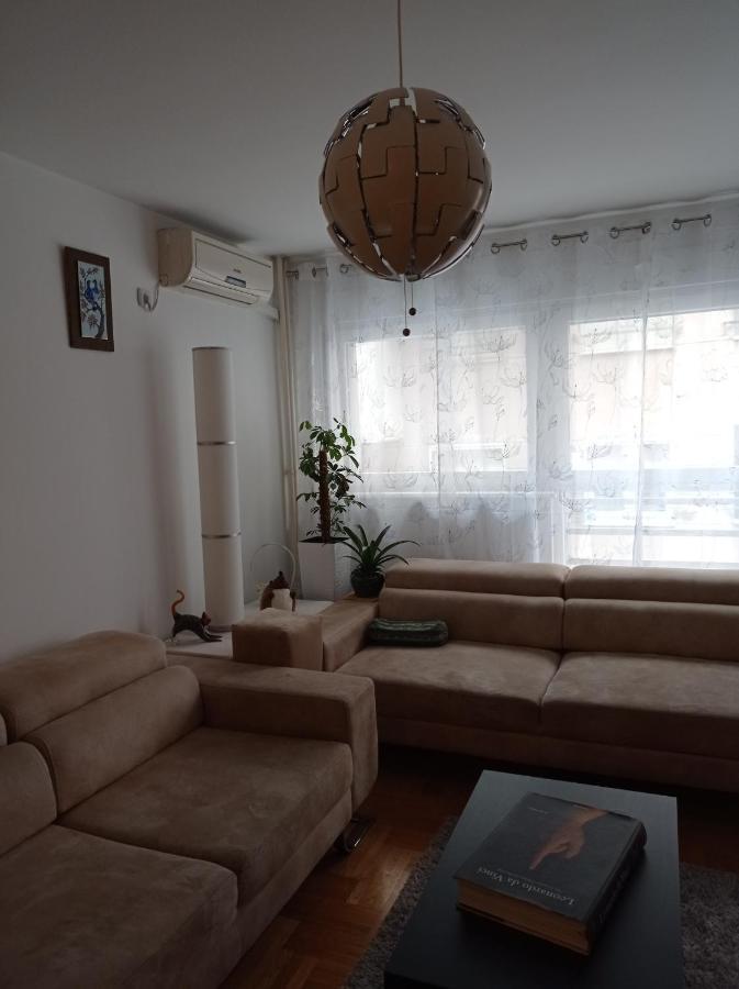 Go 2 Apartment 贝尔格莱德 外观 照片